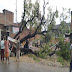 पूर्वांचल में बदला मौसम का मिजाज, कुशीनगर में बिजली गिरने से मां- बेटे की मौत