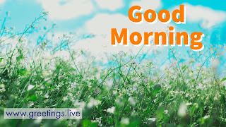 What's app status  good Morning green blue combination