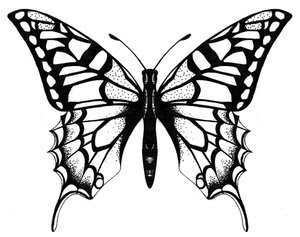 Sample Image Butterfly Tattoo Designs Picture Gallery 4