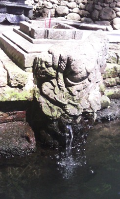 SINGOSARI (204)