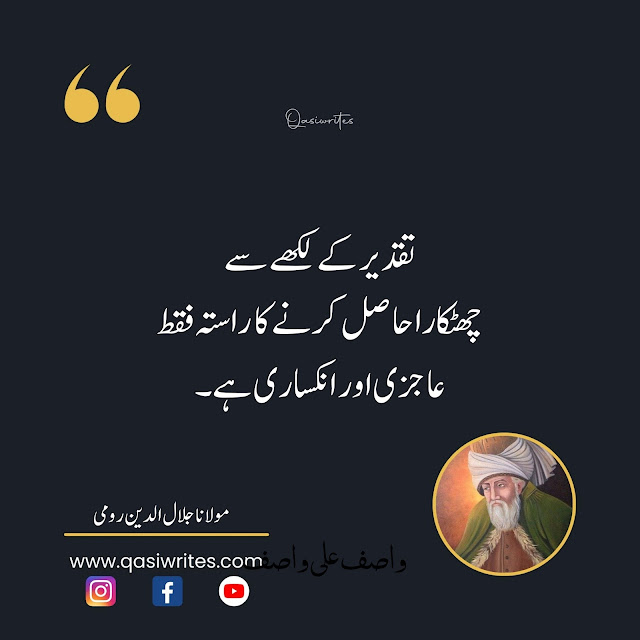 Best Rumi Quotes on Life in Urdu | Maulana Rumi Sufi Quotes in Urdu - Qasiwrites