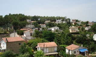 Las casas ocupan el bosque