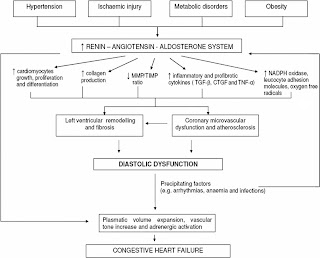   pathway chf, chf clinical pathway home health, heart failure outpatient clinical pathway, pathway chf pdf, pathway chf lengkap, clinical pathway template, clinical pathway guidelines, copd clinical pathway, clinical care pathways template