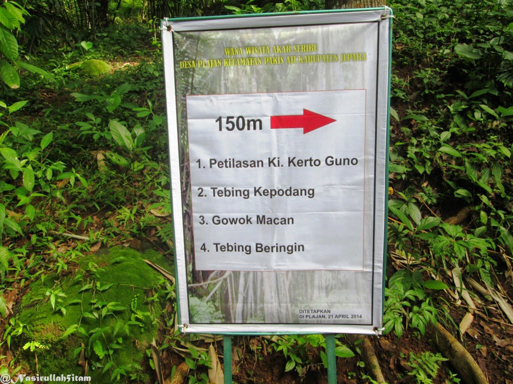 Waktunya tracking di Akar Seribu