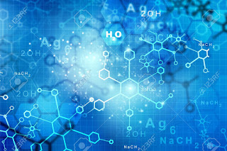 What is Auxin Hormone in Biology?