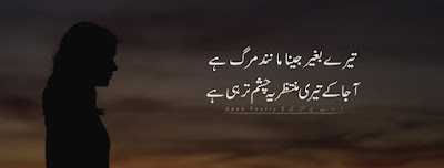 Tere-Bhagir-Jeena-Manind-Marg-Hai-Adab-Poetry-Muntazir-Shayari-2-Line-Poetry