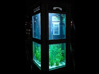 aquarium fishyphone