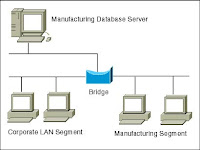 Bridge Network2