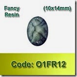 O1FR12 copy