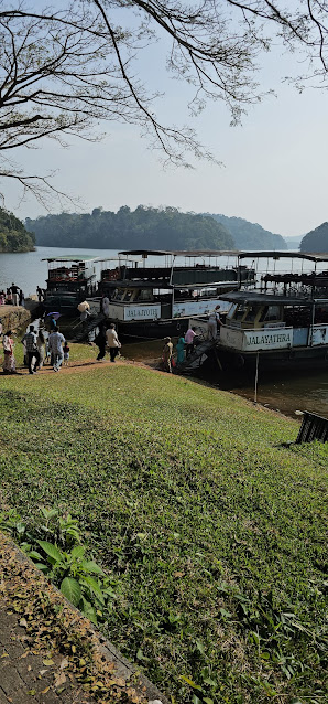 Thekkady stands out as an excellent choice for family outings, offering a blend of boating, ecotourism, and trekking opportunities. The famous boating experiences in Thekkady have garnered acclaim, making it a must-visit destination for nature enthusiasts. Embrace the tranquility of Thekkady and immerse yourself in the wonders of its pristine landscapes and diverse flora and fauna