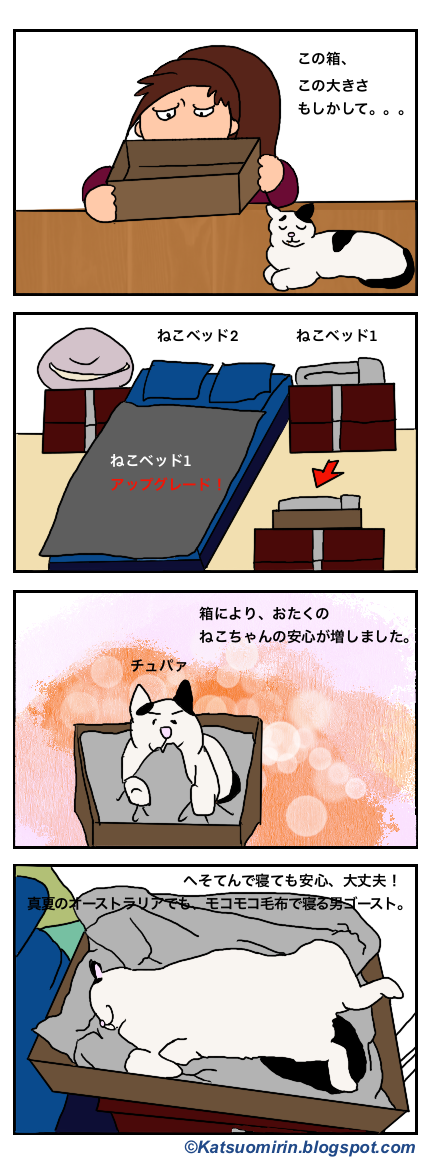 猫のベットの話