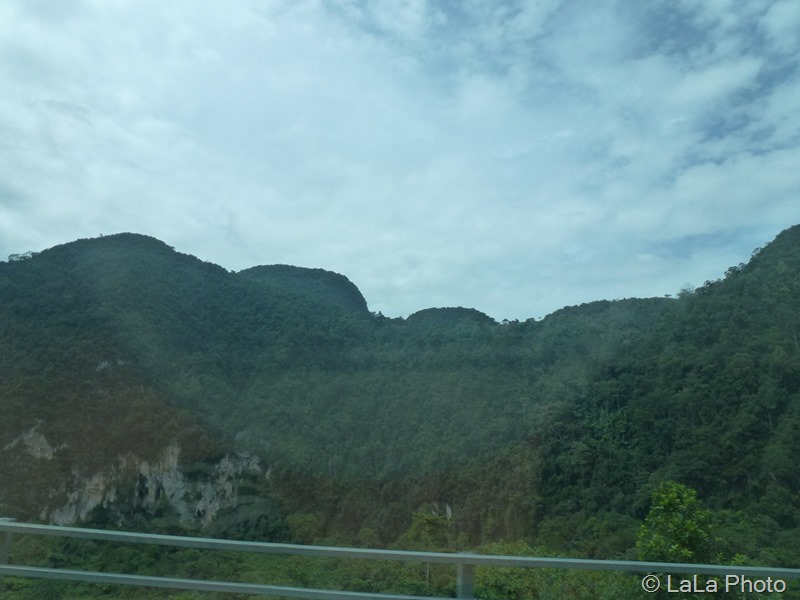 P1020221