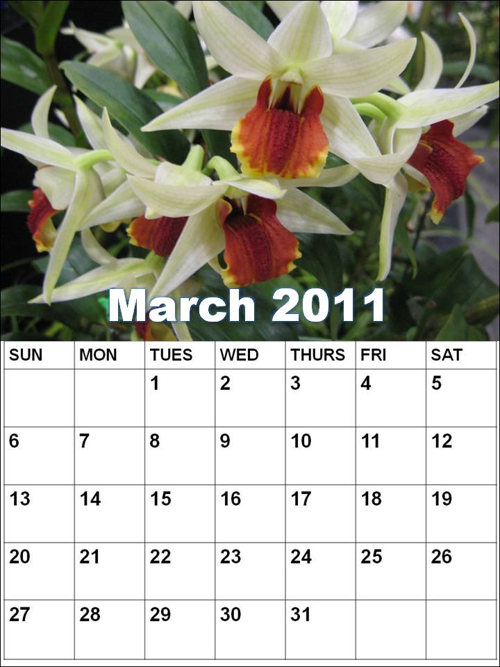 calendars 2011 march. Blank Calendar 2011 March or