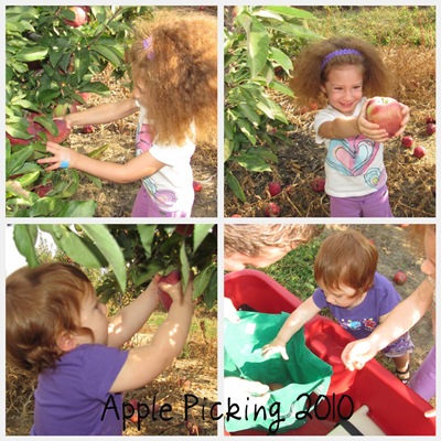 Apple Picking 2010