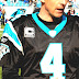 Carolina Panthers - South Carolina Football Jersey