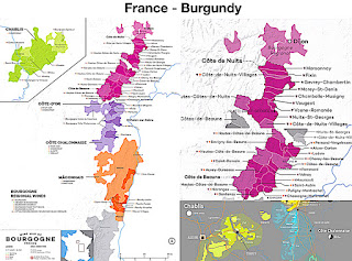 The easiest way to wrap your brain around Burgundy is to understand that there are really only two grape varieties to remember: Pinot Noir and Chardonnay. 