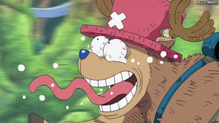 ワンピース アニメ 空島 スカイピア 170話 チョッパー Tony Tony Chopper | ONE PIECE Episode 170