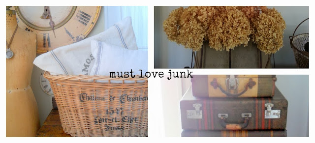 must love junk