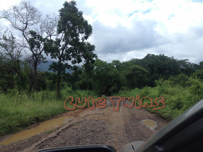 Taman Nasional Baluran Situbondo