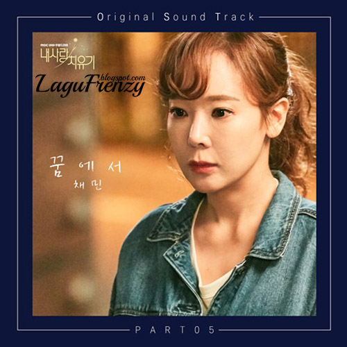 Download Lagu Chae Min - In Dreams (꿈에서)