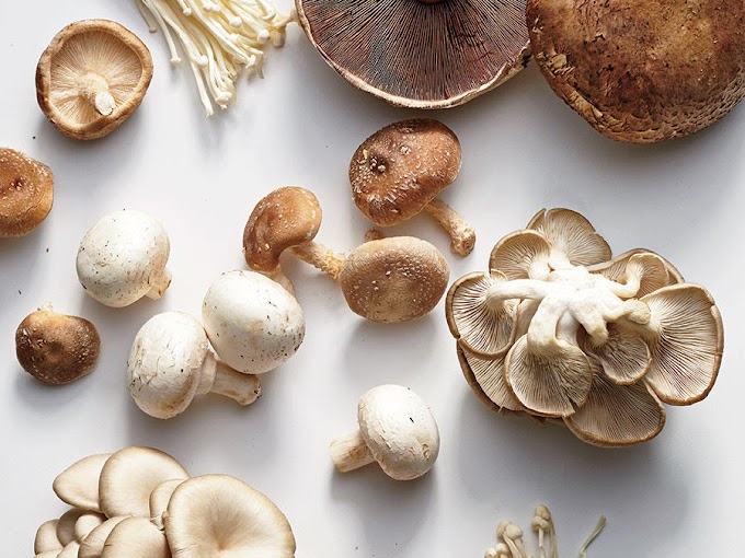 How do you get vitamin D from eating mushrooms? | Vitamin D from mushrooms | Mushrooms | Mushrooms supply online 