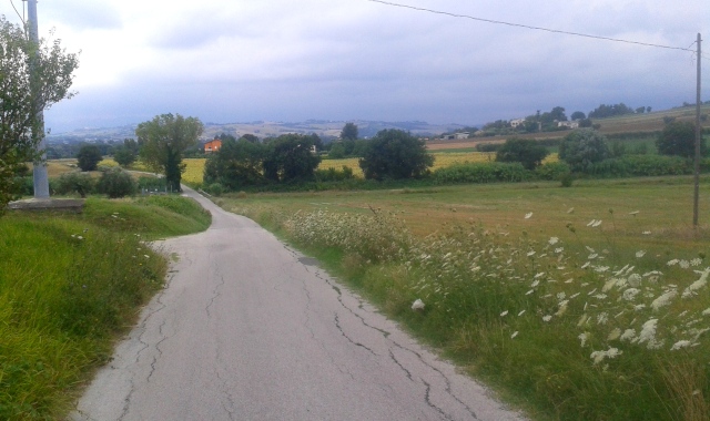 Strada di campagna