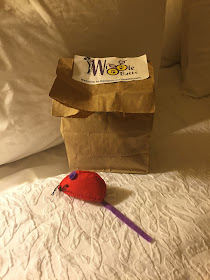 Hampton Inn Special Gift for Coco