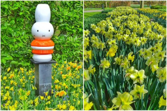 Miffy Nijntje en el parque floral Keukenhof - Narcisos