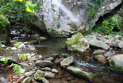 Ponga, foz de Los Andamios