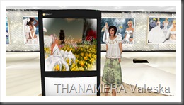Snapshot_013