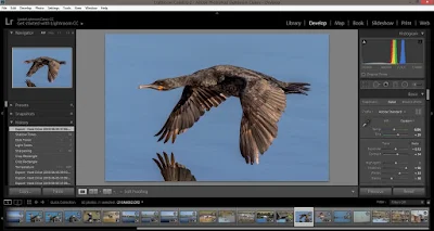 Photoshop Lightroom Classic CC PC Development Module Interface