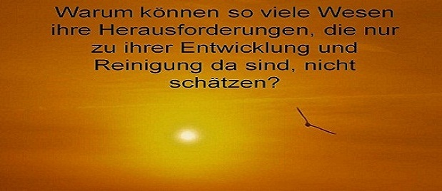 zitate schönheit erfolg