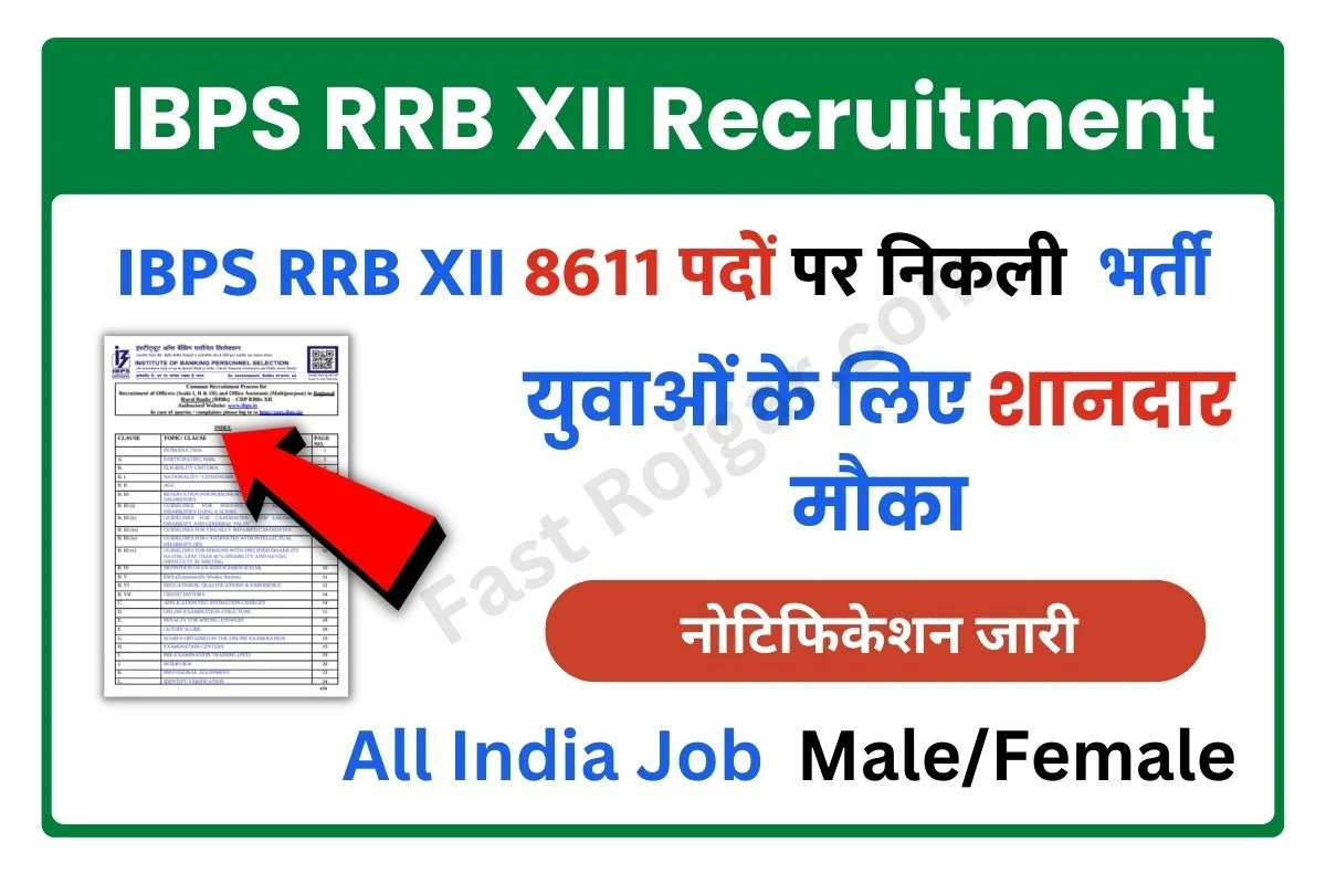 IBPS RRB XII Recruitment 2023