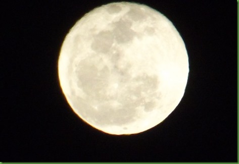 DSCF7076
