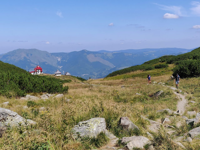 Traseu în Munții Rodnei: Vârful Pietrosul Rodnei (2303m)