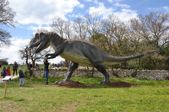 20mila visitatori per la Mostra “World of dinosaurs” a Cassano delle Murge