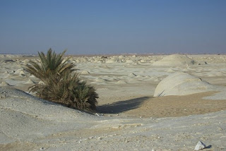 amazing phenomena in the world : White Desert in egypt