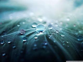 Beautiful HD Water Drops Photos