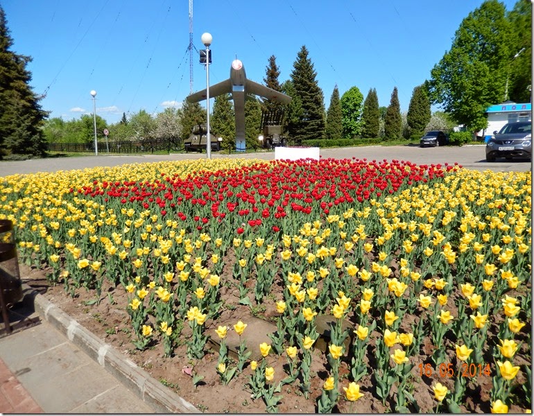 DSCN0193