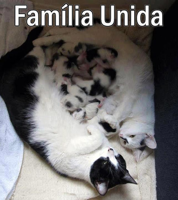 Família Unida.