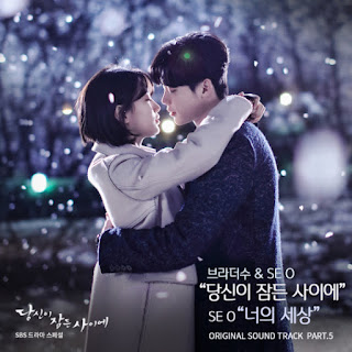 File: Sampul Single "While You Were Sleeping OST Part 5"