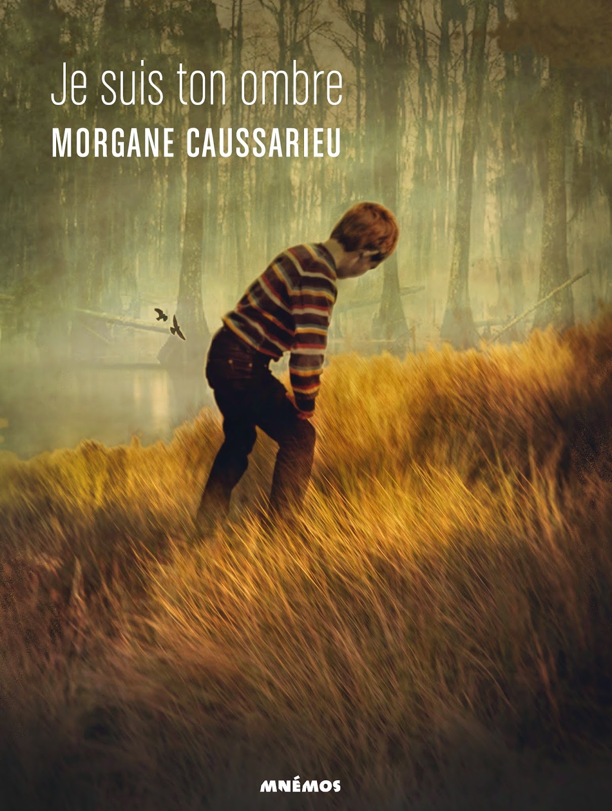 http://www.unbrindelecture.com/2014/05/je-suis-ton-ombre-de-morgane-caussarieu.html