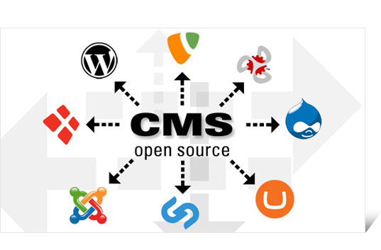 Cara Membuat Website Dengan CMS