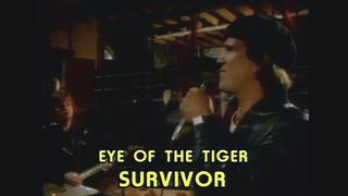 80s Top Ten • October 17, 1982 — #1 "Eye of the Tiger" by Survivor • Countdown Australia