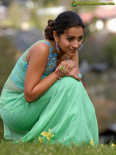 Trisha Krishnan In Saree