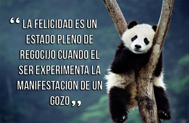 frases de felicidad 