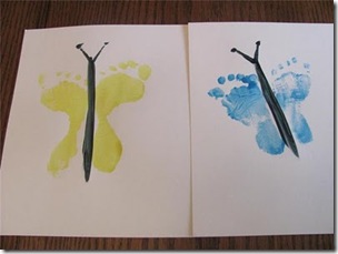 butterflies feet