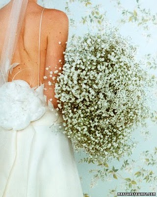 Stunning huge babys breath