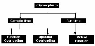 Polymorphism