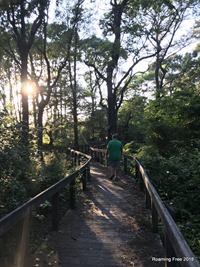 Bald Eagle Bluff Overlook